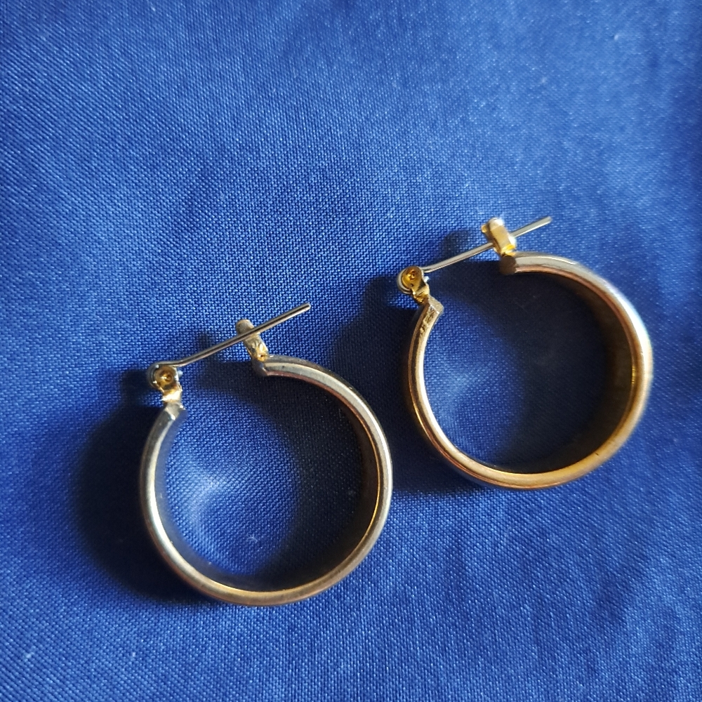 Elegant Gold Hoop Earrings